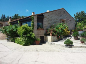 Magnifique villa piscine Propriano, Olmeto